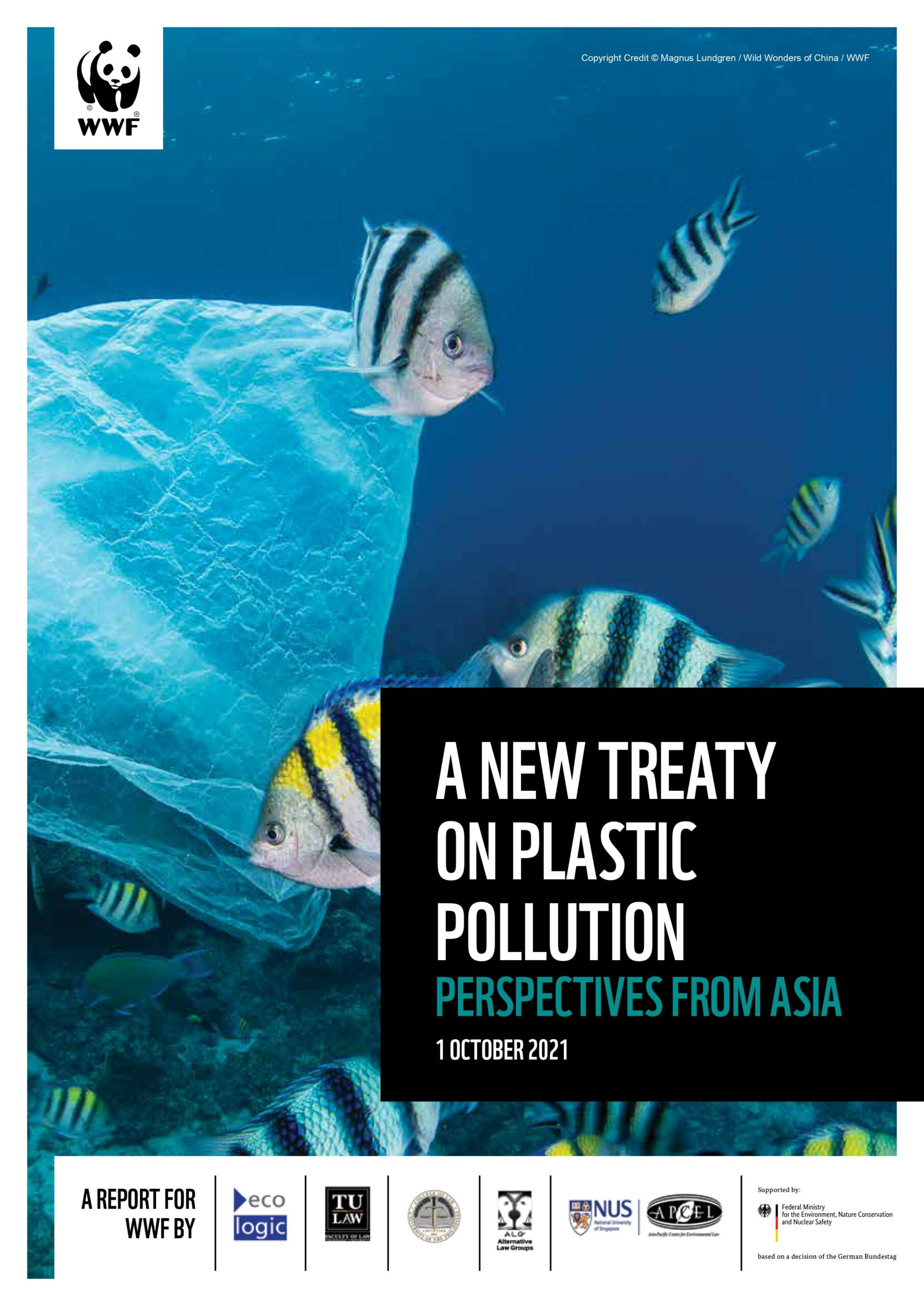 UP-IILS Launches “A New Treaty on Plastic Pollution: Perspectives form Asia”