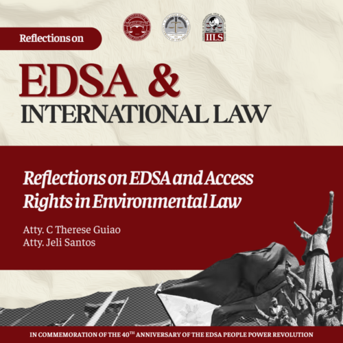 Reflections on EDSA and Access Rights in Environmental Law